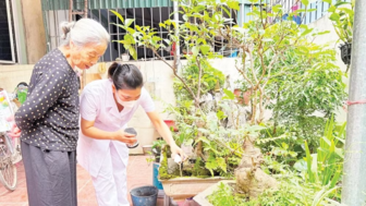 Nỗ lực kiểm soát dịch bệnh sốt xuất huyết