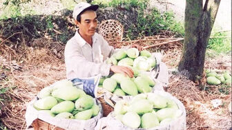 Phát triển vùng chuyên canh cây ăn trái đặc sản