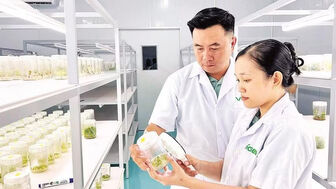 Vĩnh Long hướng đến kinh tế tuần hoàn