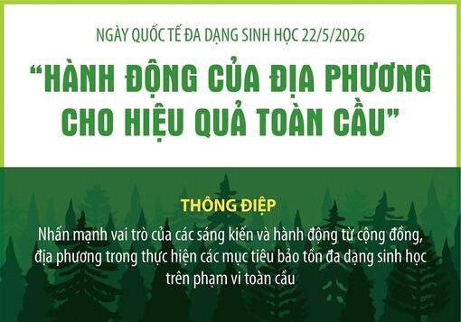 Ngày Quốc tế đa dạng sinh học: Hành động của địa phương cho hiệu quả toàn cầu