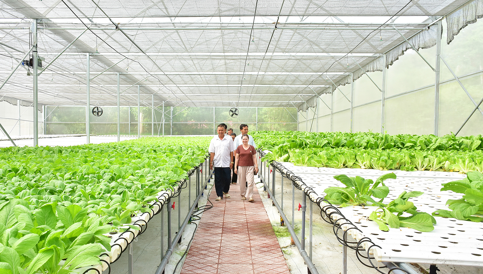 Làm nông xanh ở vùng biên Tịnh Biên
