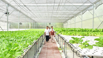 Làm nông xanh ở vùng biên Tịnh Biên