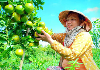 Tín dụng tiếp sức sản xuất, kinh doanh