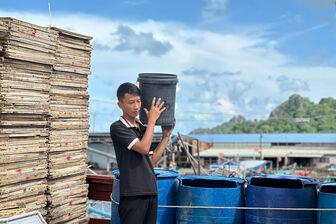 Tuổi thơ mặn vị biển