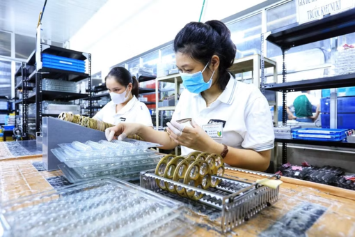 Bộ Tài chính đề xuất giảm trừ chi phí y tế, giáo dục khi tính thuế thu nhập