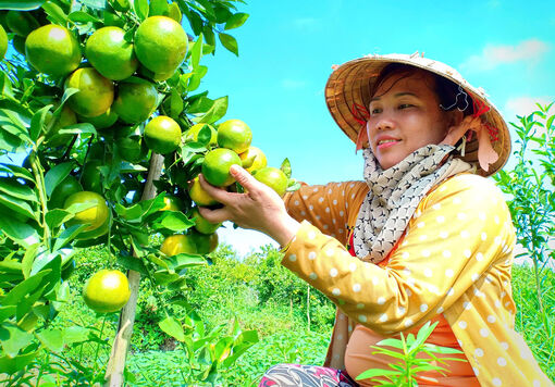 Tín dụng tiếp sức sản xuất, kinh doanh