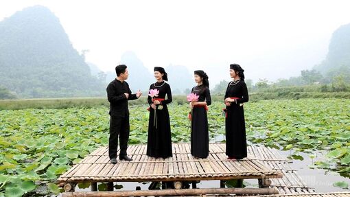 Sen hồng gọi mùa hạ