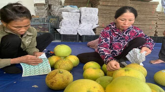 Doanh nghiệp có trách nhiệm chủ động thực thi quyền sở hữu trí tuệ