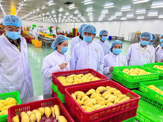 Ngành nông nghiệp định hình mục tiêu tăng trưởng xanh, bền vững và toàn diện