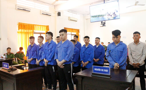 Cái giá của bạo lực