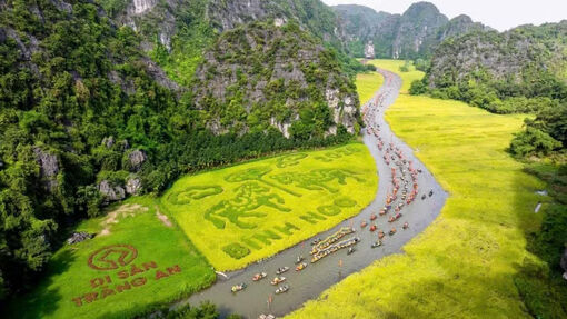 Đặc sắc không gian văn hóa nông nghiệp tại Lễ hội Sắc vàng Tam Cốc - Tràng An năm 2026