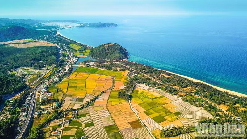 Lễ hội du lịch biển đảo Quảng Ngãi - tôn vinh di sản biển đảo