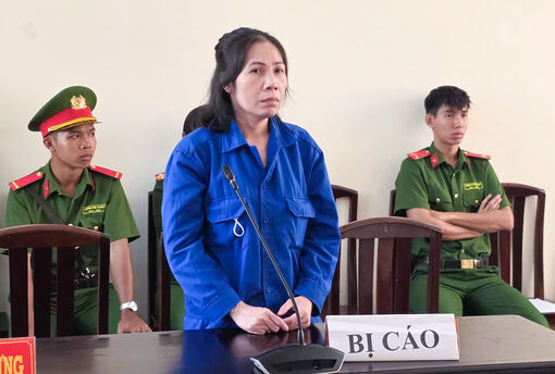 Lừa góp vốn kinh doanh đường, nữ bị cáo lãnh 13 năm tù