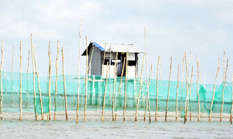 Từ bàu sò nhìn ra kinh tế ven bờ
