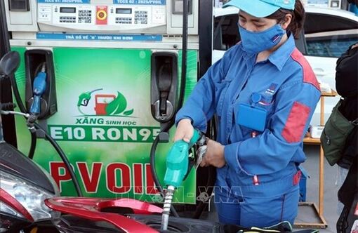 Hiệp hội các nhà sản xuất Ô tô Việt Nam: Hầu hết ô tô hiện nay tương thích với xăng E10