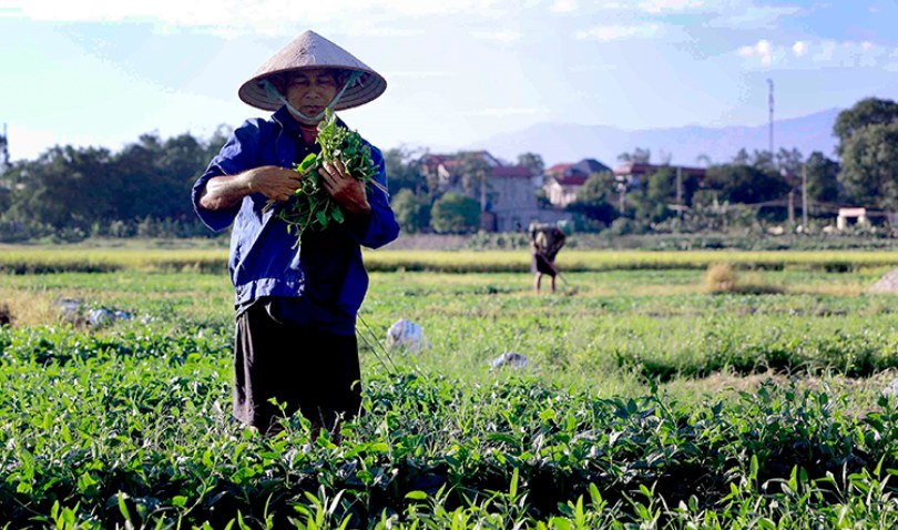 Thời tiết ngày 28/5: Bắc Bộ nắng nóng trước khi đón mưa dông, Nam Bộ mưa to cục bộ