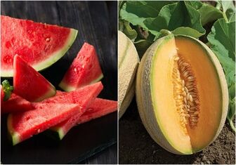 7 loại trái cây, rau củ bù nước, giải nhiệt cực tốt trong mùa hè