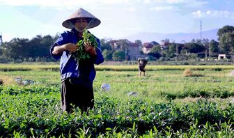 Thời tiết ngày 28/5: Bắc Bộ nắng nóng trước khi đón mưa dông, Nam Bộ mưa to cục bộ