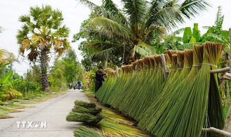 An Giang: Người dân vùng biên tận dụng cỏ bàng làm đồ thủ công mỹ nghệ phát triển kinh tế