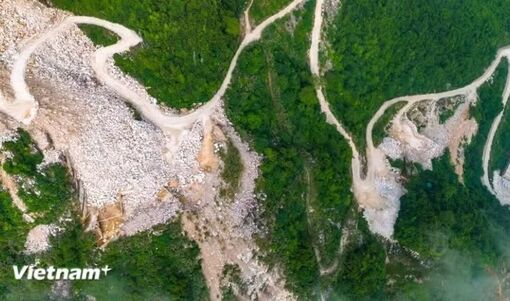 Bộ Nông nghiệp và Môi trường đề xuất sửa 10 luật để gỡ vướng thủ tục hành chính