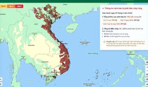 Cả nước có khoảng 1.782 khu vực nguy cơ xảy ra cháy rừng trong ngày hôm nay