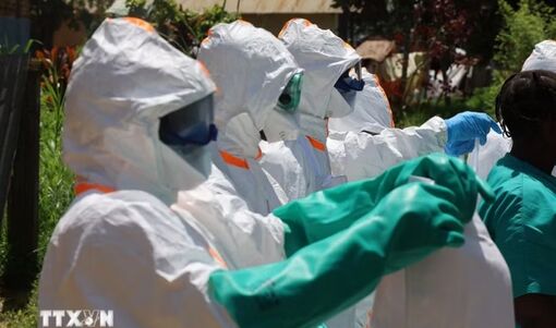 Dịch Ebola: Tổng Giám đốc WHO kêu gọi tăng cường hỗ trợ quốc tế