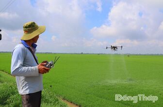 Tam Nông: Đề án 1 triệu hecta và cuộc chuyển đổi tư duy trên đồng lúa