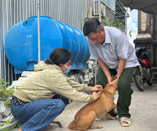 Ngăn bệnh dại từ vật nuôi