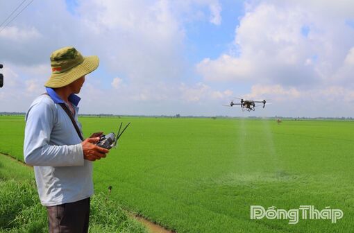 Tam Nông: Đề án 1 triệu hecta và cuộc chuyển đổi tư duy trên đồng lúa