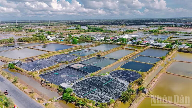 Vĩnh Long phát huy lợi thế kinh tế biển