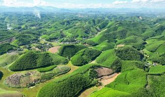 5 tháng, cả nước trồng mới tập trung 112.100 ha rừng