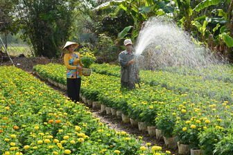 Nông dân làm kinh tế tuần hoàn