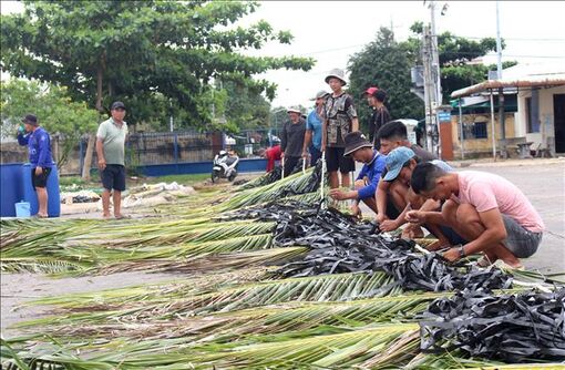Độc đáo nghề dựng "nhà" dưới biển đón mùa cá Nam