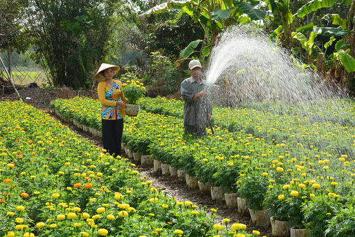 Nông dân làm kinh tế tuần hoàn
