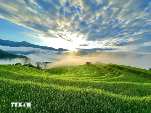 Trải nghiệm độc đáo cùng cuộc đua leo ruộng bậc thang ở Thông Nguyên