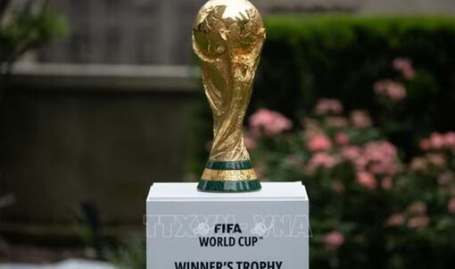 World Cup 2026: Sự trở lại của "Những chú Voi"