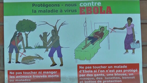 WHO cảnh báo chủng Ebola hiếm gặp tại Trung Phi