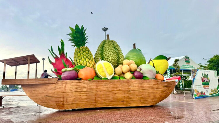 Về miền trái ngọt Đồng Tháp