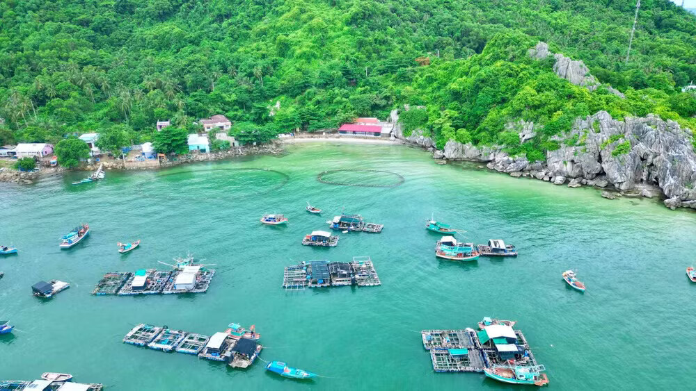 Hòn Nghệ, không chỉ là thương hiệu cá lồng bè