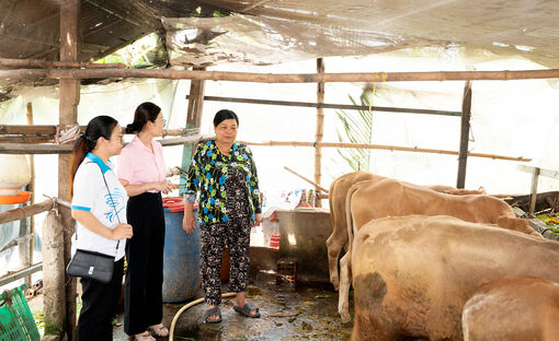 Nhiều mô hình hỗ trợ phụ nữ ở xã Bình Hòa