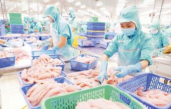 Bước chuyển bền vững cho ngành hàng thủy sản chiến lược