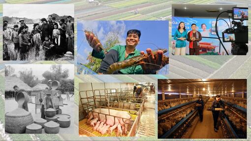 Dấu ấn 96 năm Hội Nông dân Việt Nam trên hành trình phát triển đất nước