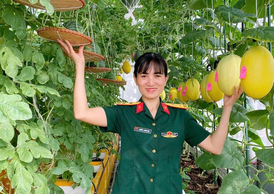Vườn dưa trĩu quả trên sân thượng của nữ trung tá ở Hà Nội