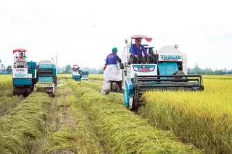 Bảo hiểm rủi ro trước biến đổi khí hậu cho ngành Nông nghiệp