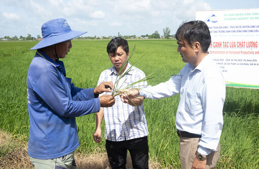 Cần Đăng phát huy thế mạnh nông nghiệp