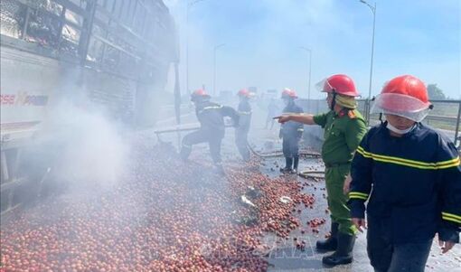 Xe tải chở 10 tấn mận cháy rụi trên cao tốc Diễn Châu - Bãi Vọt