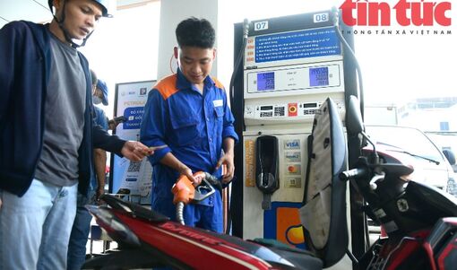 Yêu cầu bảo đảm nguồn cung xăng sinh học trên toàn quốc