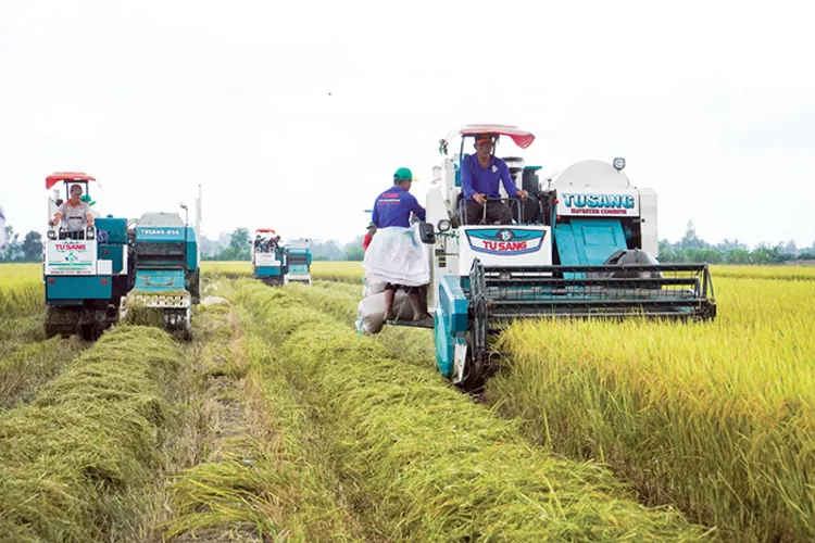 Bảo hiểm rủi ro trước biến đổi khí hậu cho ngành Nông nghiệp
