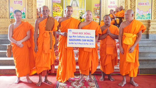 Nâng bước tăng sinh