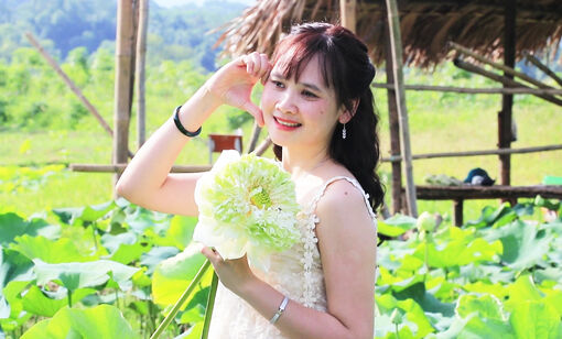 Rực rỡ đầm sen Vân Hội